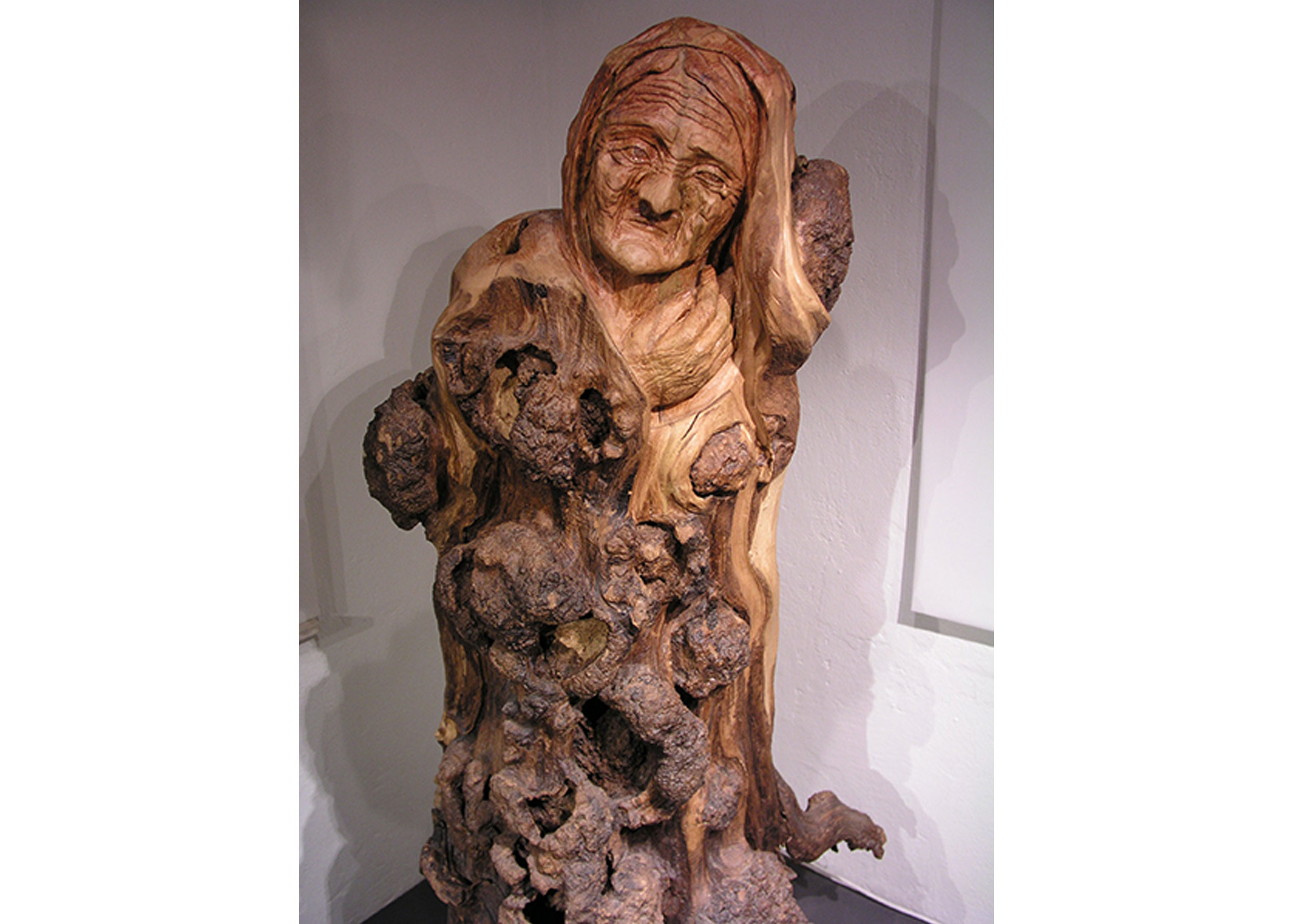 Mutter Natur • Roland Lindner • Robinie mit Krebsgeschwüren